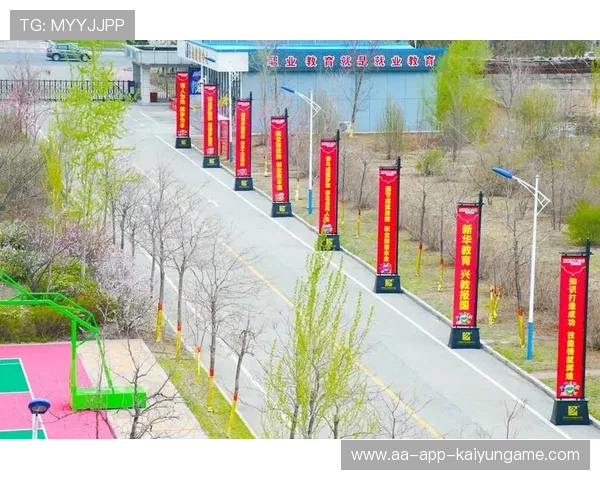 电竞选手职业发展体系完善，电竞选手职业发展体系完善方案