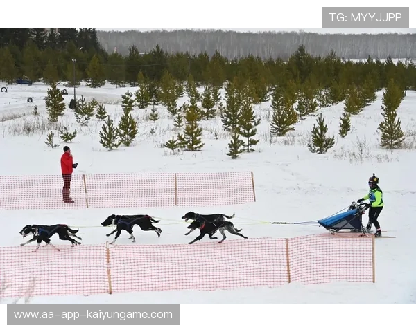 雪橇锦标：俄罗斯队稳居金牌榜，冲击纪录！，雪橇竞赛视频下载